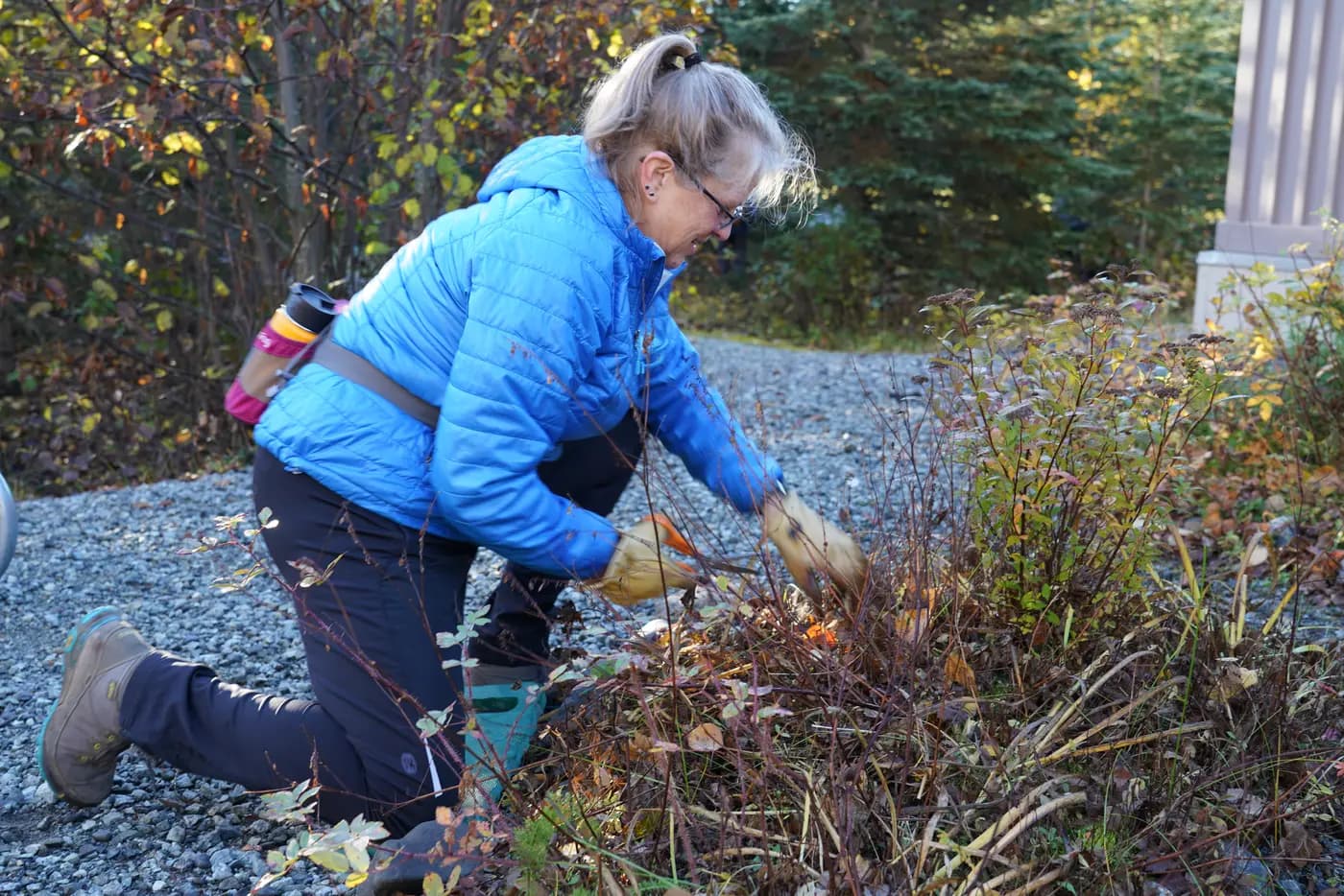 Garden cleanup with leaves and cuttings