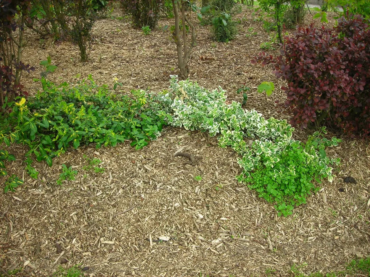 Fresh mulch spread across a garden bed