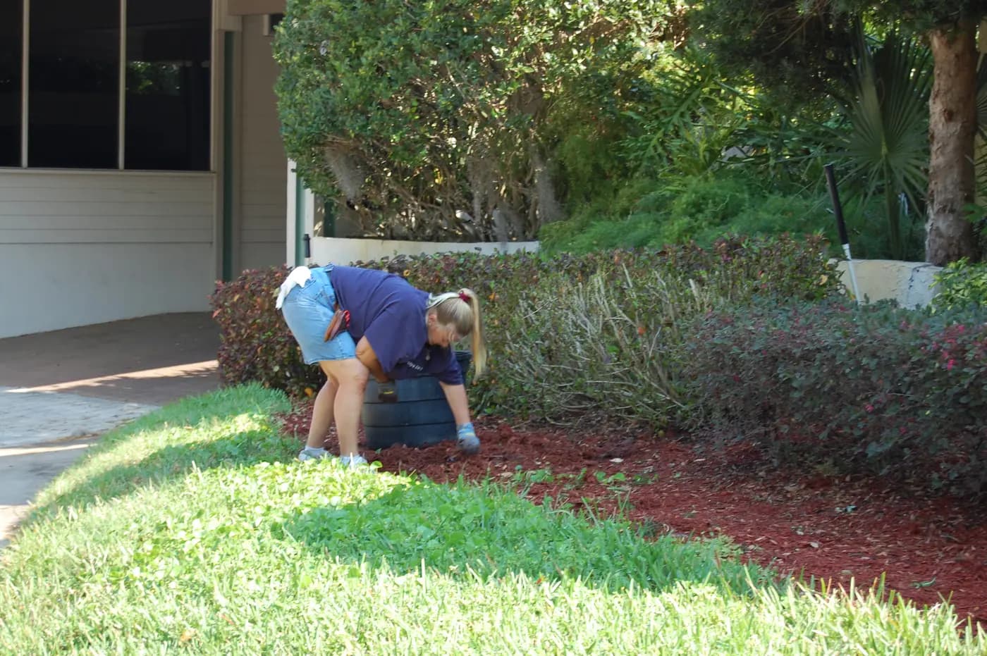 Garden maintenance underway in outdoor beds