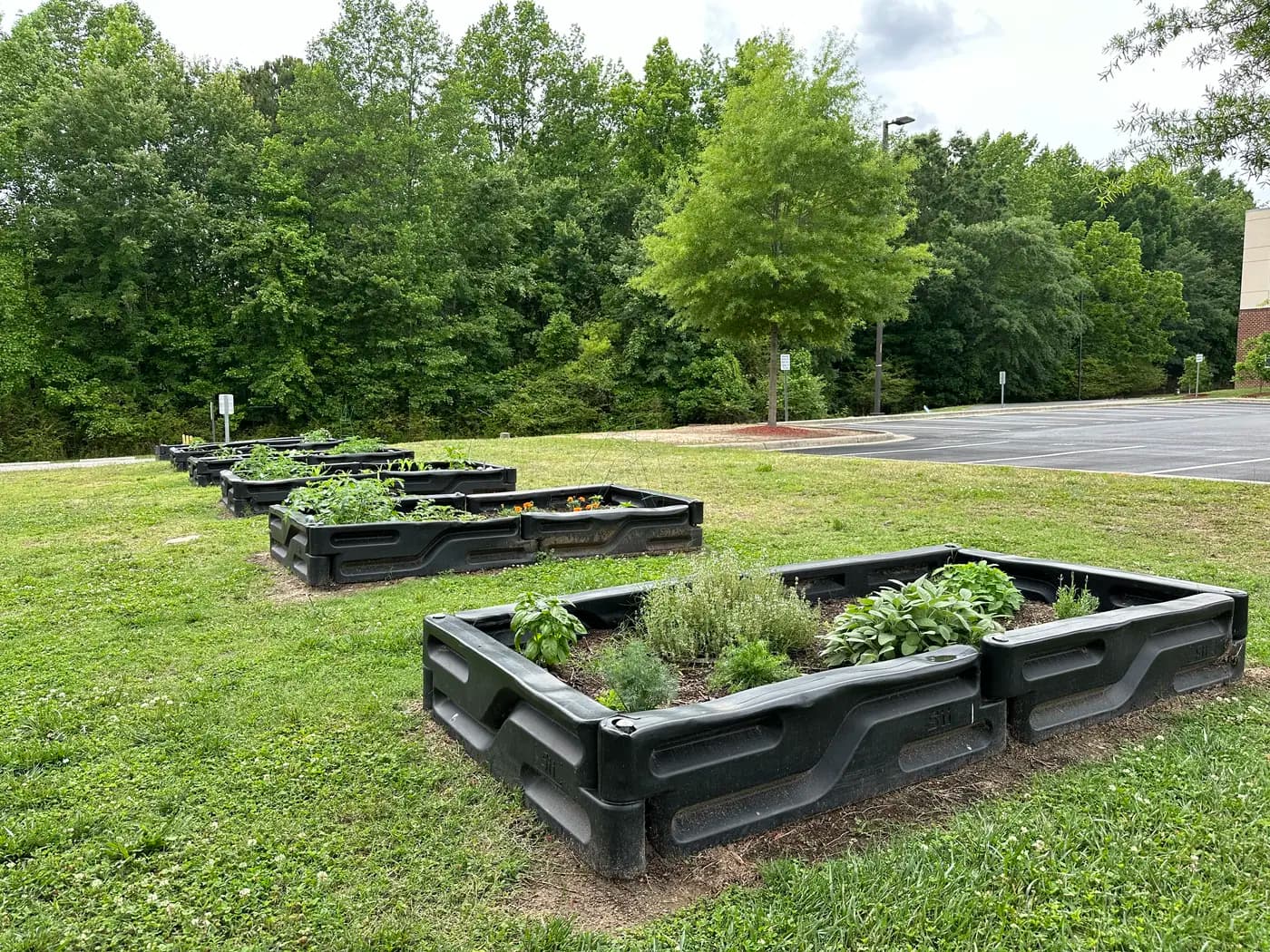 Garden beds prepared for seasonal care