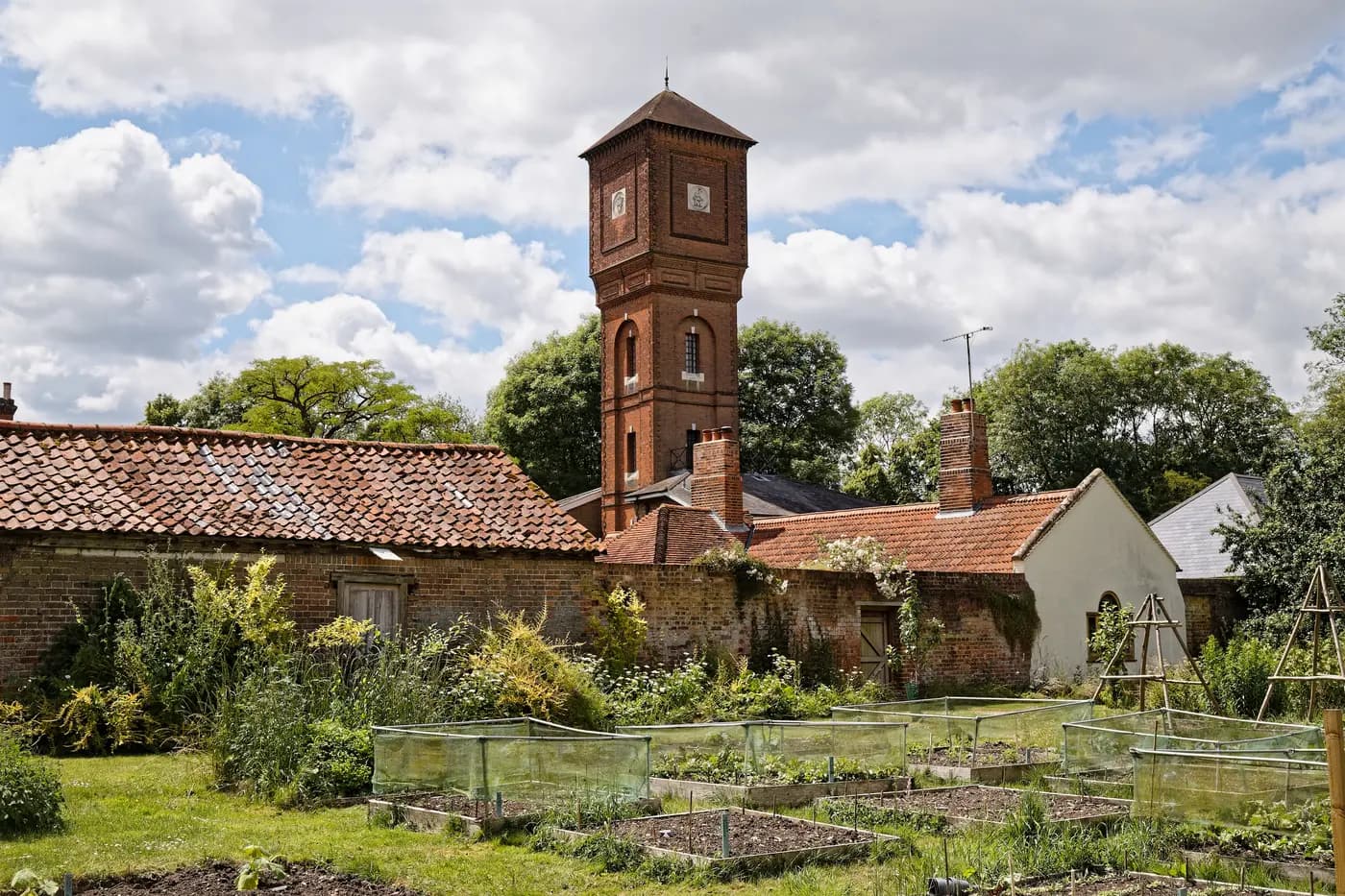 Garden beds with a water tower in the background